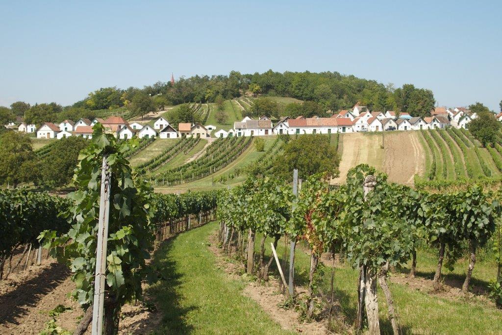 Siebenhirten Gaestehaus Weinviertel - Niederoesterreich מראה חיצוני תמונה