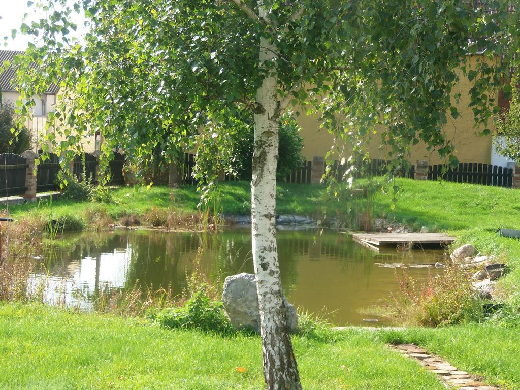 Siebenhirten Gaestehaus Weinviertel - Niederoesterreich מראה חיצוני תמונה